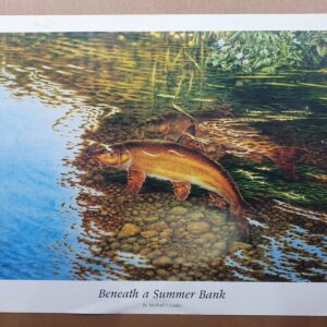 Beneath a Summer Bank
