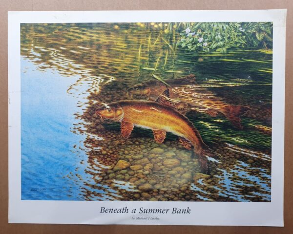 Beneath a Summer Bank