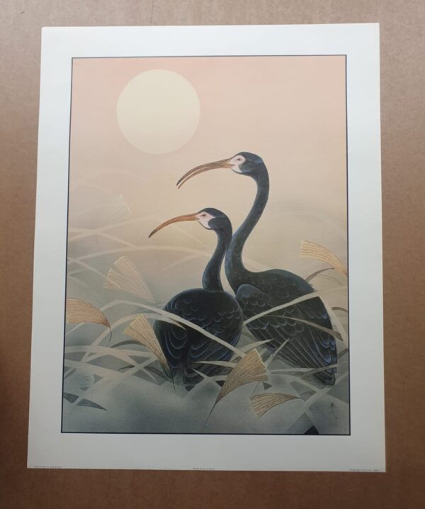 Oriental Birds 5