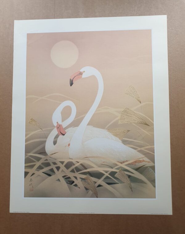 Oriental Birds 7