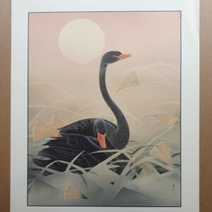 Oriental Birds 6
