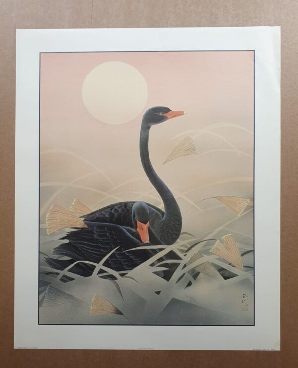 Oriental Birds 6