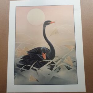 Oriental Birds 9