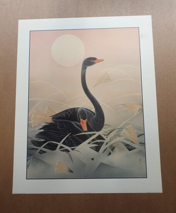Oriental Birds 9