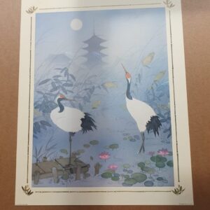 Oriental Birds 10