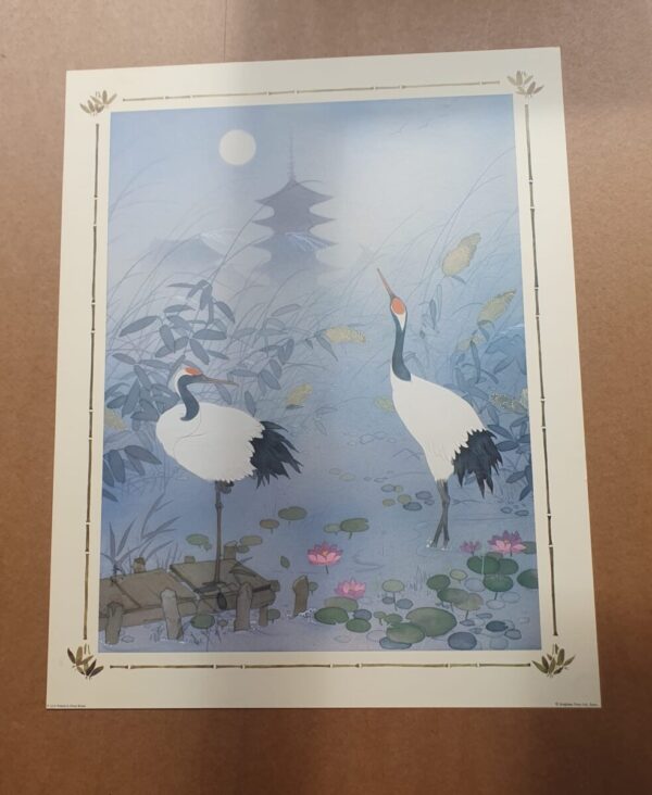 Oriental Birds 10