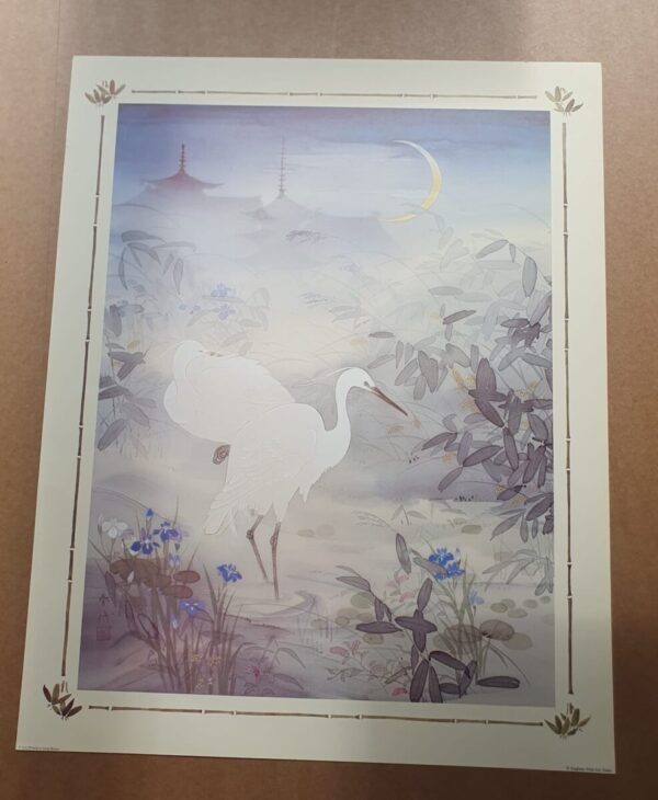 Oriental Birds 11