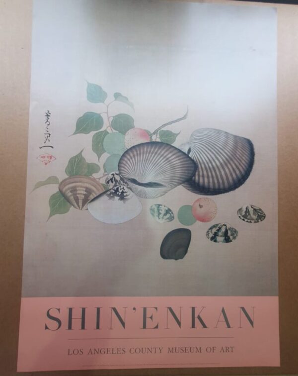 Seashells and Plums